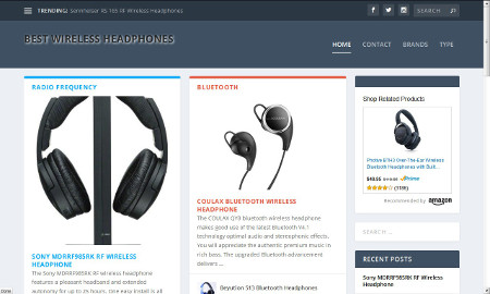 Best Wireless Headphones Website Screenshot
